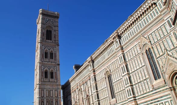 Florence 6417