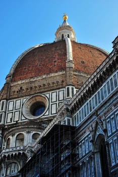 Florence 6402