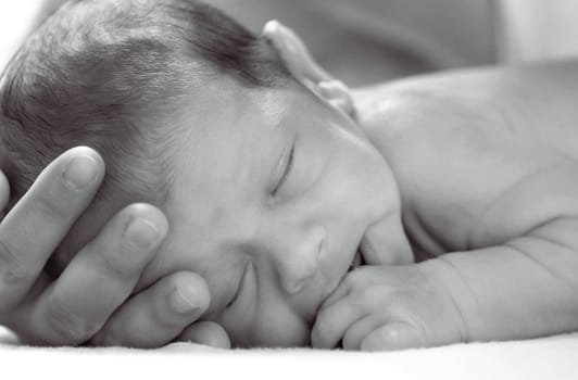 Baby Portrait
