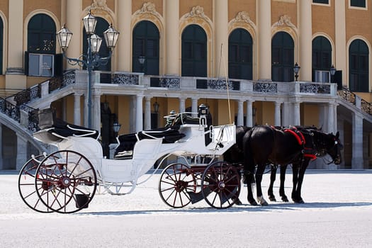 Carriage in front of Schönbrunn Palace