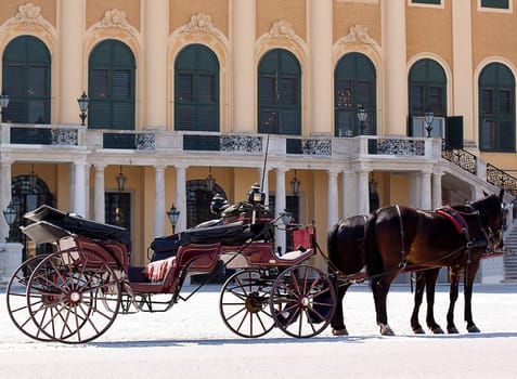 Carriage in front of Schönbrunn Palace