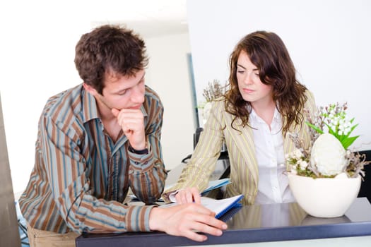 Businesspeople working