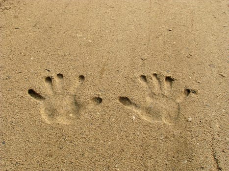 Hands in the sand