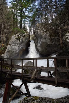 Hiking in the beautiful nature