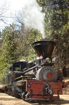 Locomotive Vertical