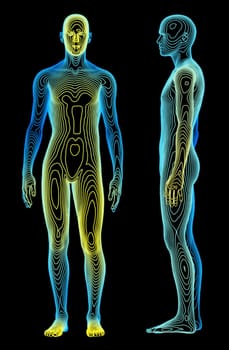 Body Analysis