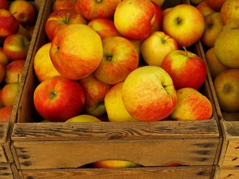 fresh apples at the market