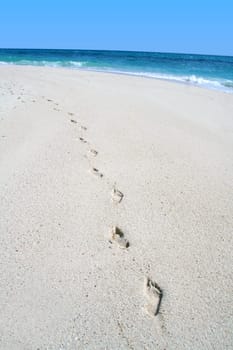 Footprints on the beach