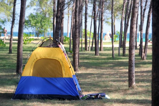 Camping