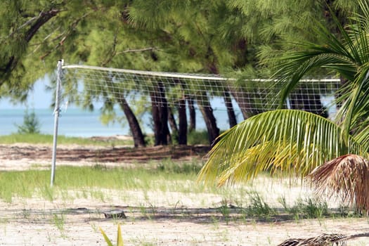 Volleyball on the beach