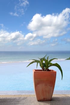 Vacation