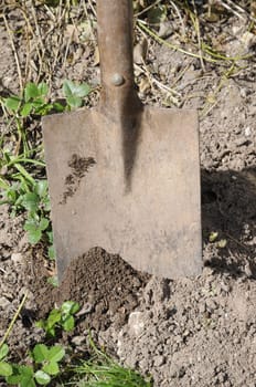 Spade