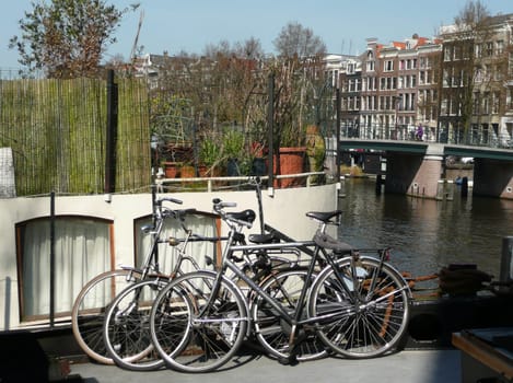 typical Amsterdam