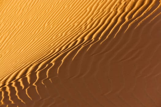 desert sand close-up in sunlight