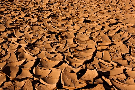 dry earth in sunshine