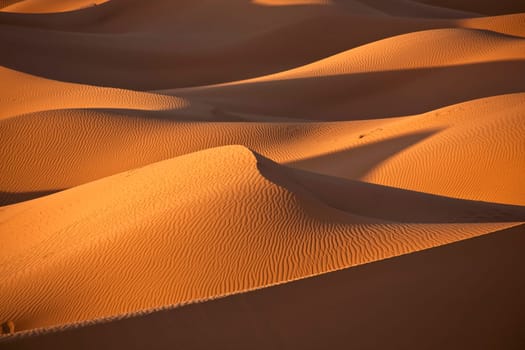 sand dunes in the desert with shadows