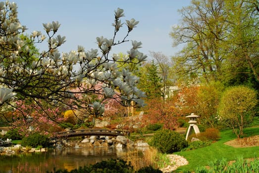 Spring is here