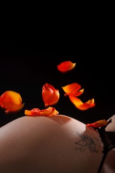 Falling rose petals