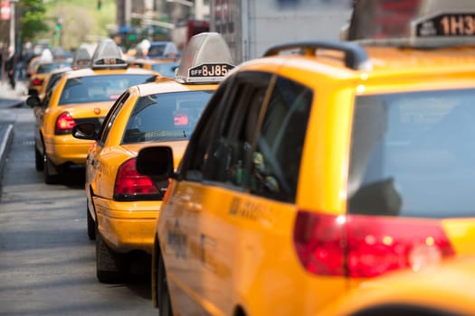 Waiting Taxis in New York