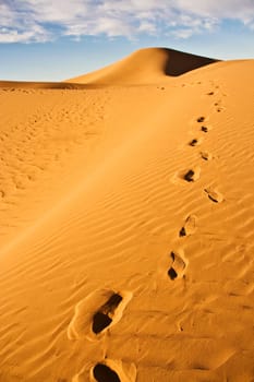 footprints on sand dune in the desert