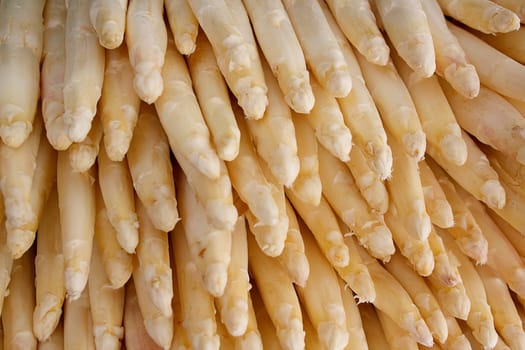 white asparagus