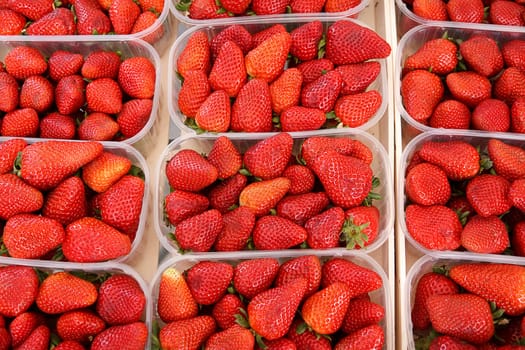 Strawberries in shell
