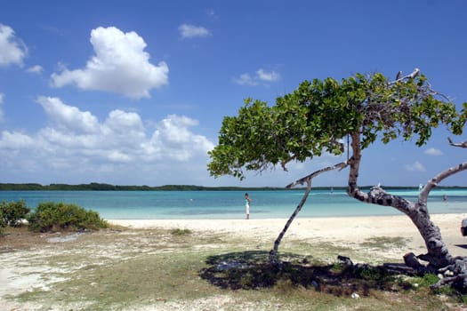 Woman on the beach of Sorobon Beach