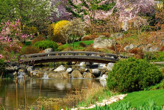 The wooden bridge in spring