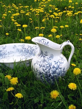 Classic wash basin and jug in meadow