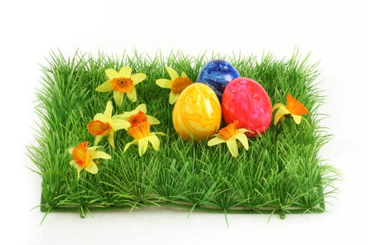 Dyed Eggs