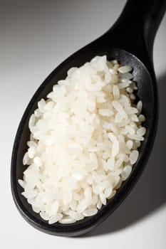 Sushi Rice on Spoon Shade