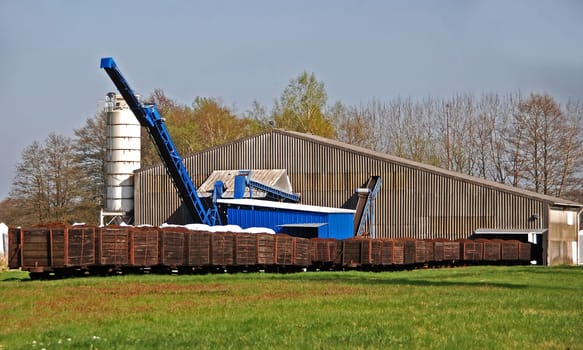 Peat plant