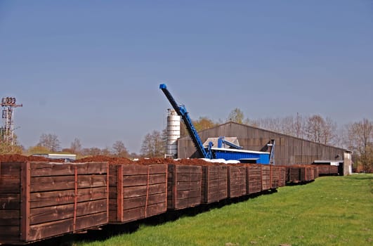Peat plant