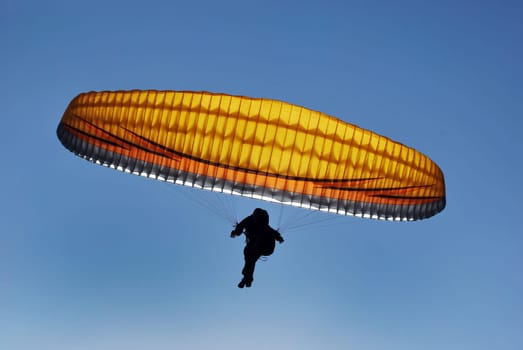 Paragliding 8325