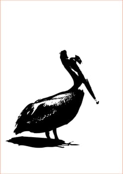 Pelican