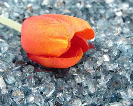 Plastic tulip on blue glitter