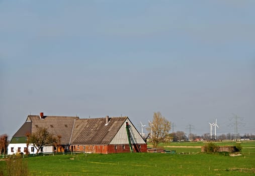 Large-scale farmer in Schleswig-Holstein