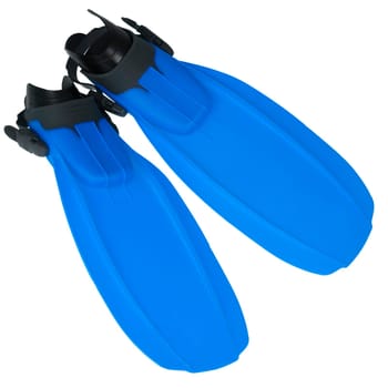 Blue Diving Fins