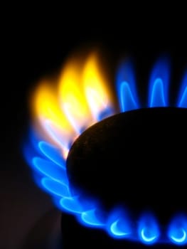 Gas stove