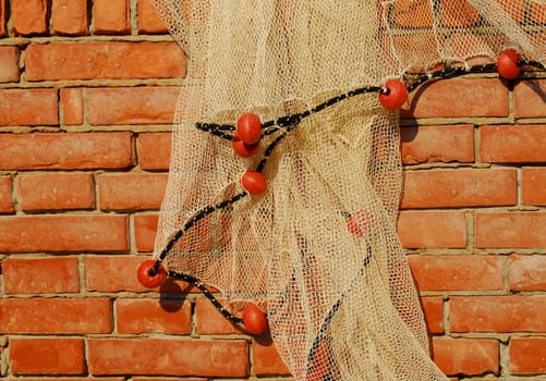 The Fishing Net