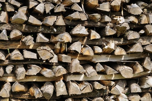 Firewood
