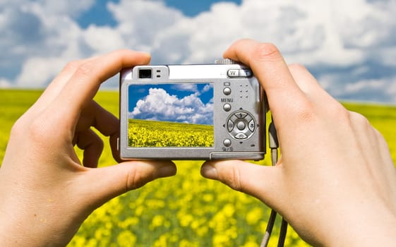 Photographing summer landscape