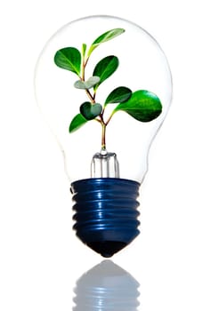 Green energy