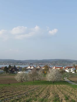 Reichenau
