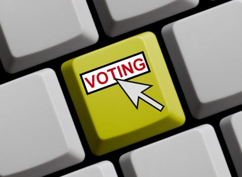 Online Voting