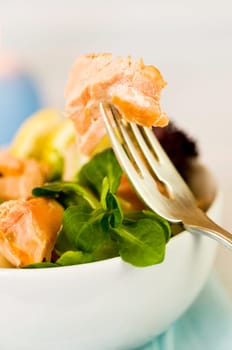 Salad with salmon fillet