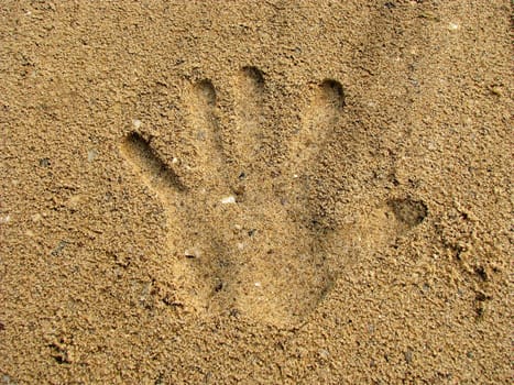 Handprint in the sand