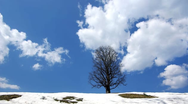 Thaw