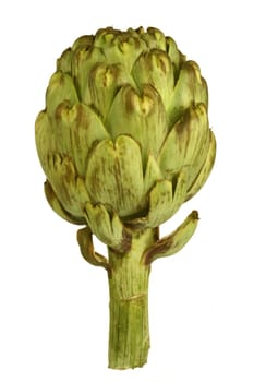 Artichoke