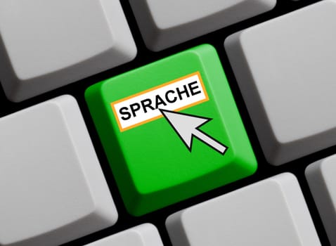 Everything you need to know about language on the Internet